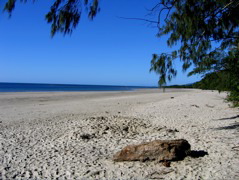 Myall Beach