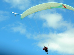 Watch out for the traffic