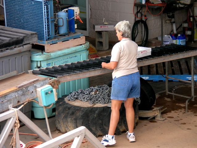 Unloading shrimp 4