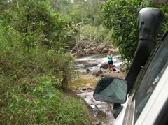 Richard's wife records our descent