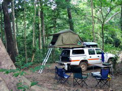 Rainforest Campground