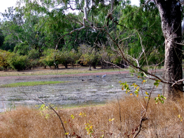 Horseshoe Lagoon