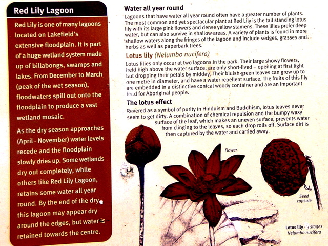 Water all year round