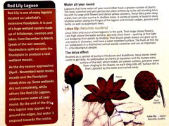 Water all year round