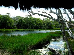 Birdy Keatings Lagoon