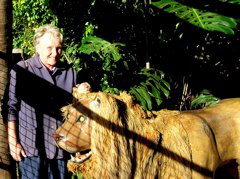 Carrie in the Lions Den