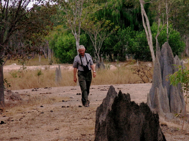 Vain search for Golden-shouldered Parrots