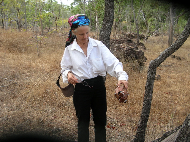 Patsy in the field - Green Ants' nest
