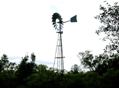 Windmill