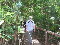 Final hike to the Top